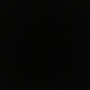 Meet your Posher, Brayden